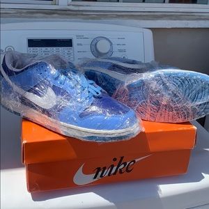 2005 Nike dunk euro